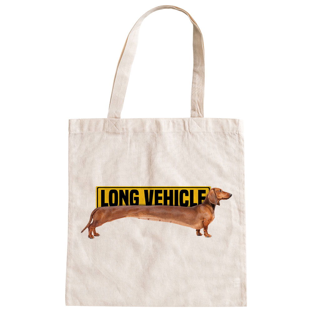 B2_ECOBAG_L631_LONG_VEHICLE