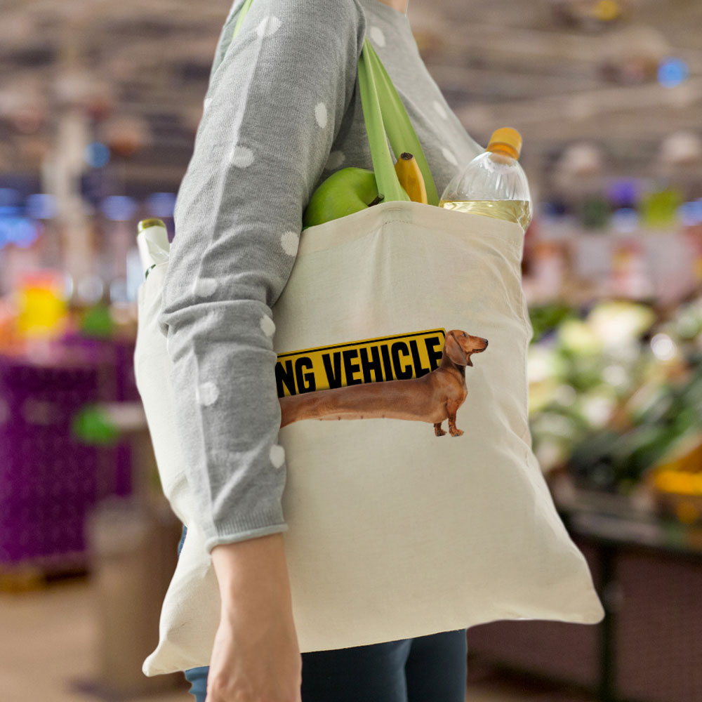 B2_ECOBAG_L631_LONG_VEHICLE_DETAIL3