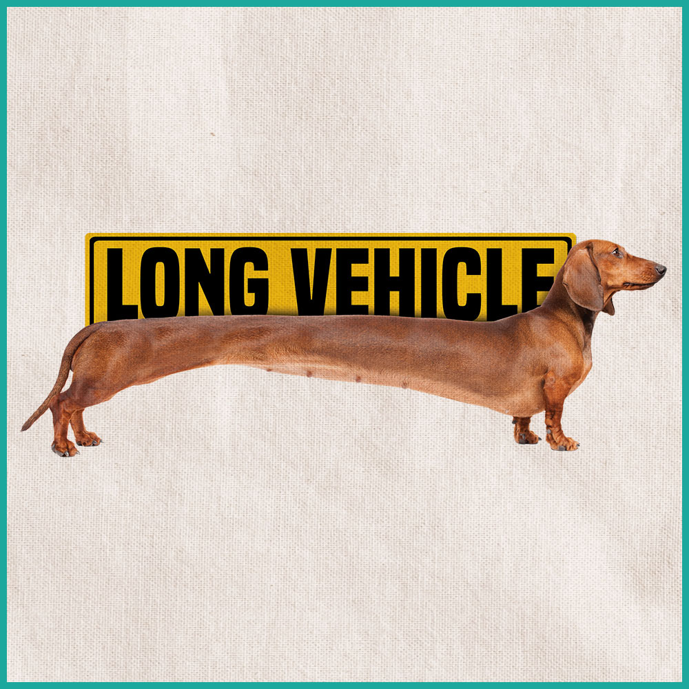 L631_LONG_VEHICLE_ECOBAG